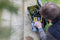 Stanley STST1-75521 Essential 19" Toolbox with Metal latches, Black/Yellow, Inch