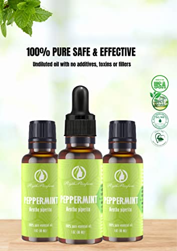 RythParfum Peppermint Essential Oil with Dropper|100% Pure,Undiluted Natural Mint Oil for Diffuser,Humidifier,Aromatherapy| Peppermint Oil for Hair,Massager Fresh,Relax (Pack of 3 oz)