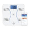 Weight Watchers by Conair White