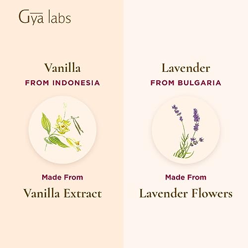 Gya Labs Vanilla Essential Oil & Lavender Essential Oil (2 Packs)