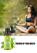 RythParfum Peppermint Essential Oil with Dropper|100% Pure,Undiluted Natural Mint Oil for Diffuser,Humidifier,Aromatherapy| Peppermint Oil for Hair,Massager Fresh,Relax (Pack of 3 oz)