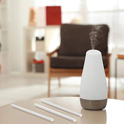 24 Pieces Humidifier Sticks Filter Replacement Wick Humidifiers Filter Sticks Humidifiers Refill Sticks for Cool Mist Humidifiers Portable Diffuser USB Mini Humidifier （5.35 Inches）