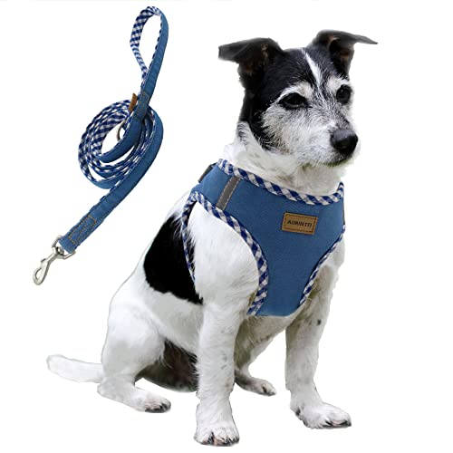 Aiminto Premium Denim Dog Harness and Leash Set, Step in, Breathable Mesh, Lightweight, Reflective Vest Harness - for Small Dogs (Baby Blue, S)