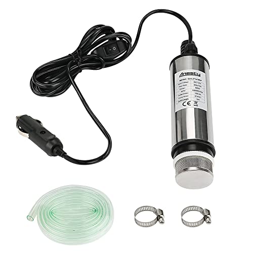 Stainless Steel Transfer Pump 12 V 51 mm Water Pump Submersible Pump for Car Diesel Oil Fuel Transfer Pump with Cigarette Lighter Removable Filter 3 m Cable + PVC Transparent Hose