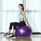 Reehut Anti-Burst Core Exercise Ball for Yoga, Balance, Workout, Fitness w/Pump (Purple, 55CM)