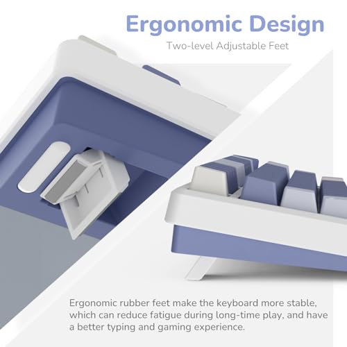 RK ROYAL KLUDGE M75 Gaming Keyboard Wireless 75% TKL Mechanical Keyboard RGB 2.4GHz Wireless/Bluetooth/USB-C QWERTZ with OLED Smart Display and Button Hot Swappable Brown Switch, Lavender Purple