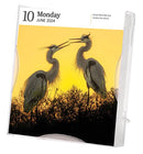 Audubon Birds Page-A-Day Gallery Calendar 2024: Hundreds of Birds, Expertly Captured by Top Nature Photographers