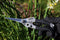 Darlac Compact Snips – Award Winning Garden Snips – Ideal For Delicate & Light Pruning & Topiary Work – Lightweight – Precision Tensioned – SK5 High Carbon Steel – Easy To Use Single Handed