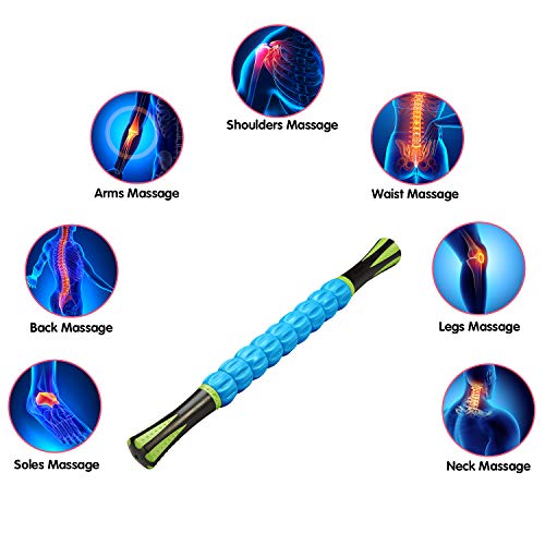 Reehut Trigger Point Muscle Roller Stick - 46cm Massager for Relief Pain, Sore, Cramping, Massage, Physical Therapy & Body Recovery (Blue)