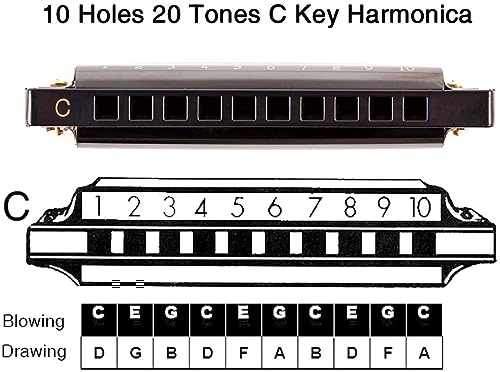 Top Harmonica with 10 Holes Blues Diatonic and Kazoo Musical Instruments with 5 Flute Diaphragm,Mouth Harmonica Organ Key of C for Kids,Students,Beginners, Professional