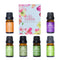 Zensh Premium Essential Oils Set, Top 6 x 10ml Pure Natural Aromatherapy Oils Box for Diffuser, Humidifier, Massage (Lavender, Tea tree, Eucalyptus, Lemongrass, Orange, Peppermint)