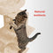Floofi Cat Tree with Scratching Post & Interactive Cat Toy, Multi-Level Tower & Play House Suitable for Indoors (118 cm, Beige Plush Cat Condo)
