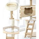 Alopet 162cm Wooden Cat Tree with Ladder, Cat Condo and Scratching Post Cat Tower