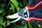 Darlac Expert Bypass Pruner - Carbon Steel Garden Secateurs & Pruning Scissors / Shears - Cutting Capacity of 25mm - Ideal Cut It All Gardening Gift or Tool