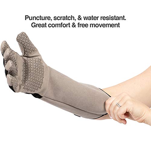 PetFusion Multipurpose Pet Glove for Grooming, Trips to Vet, Handling. [Puncture & Scratch Resistant, Water Resistant]. for Manufacturer Defects Grey