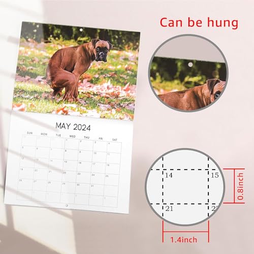 ZKAYX Wall Calendar 2024, Dogs Pooping In Beautiful Places 2024 Calendars January from December for Dog Lovers, Monthly Calendar Planner for Home, Hostel