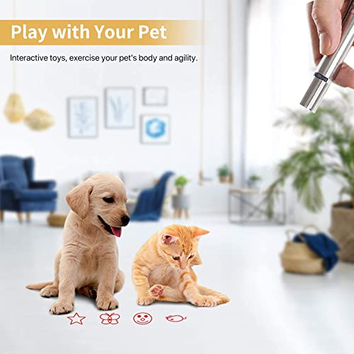 Cat Laser Pointer Toy, Proxima Direct Upgraded 5-in-1 Indoor Interactive Kitten Cat Toy, USB Rechargeable LED Light Pointer, Toy for Cat Dog Chasing Play and Training Exercise (Silver)
