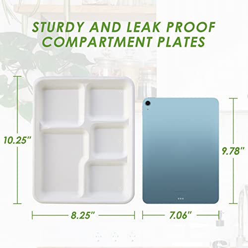 Vplus 100% Compostable 5 Compartment Plates 125 Pack Eco-Friendly Disposable Sugarcane 10 * 8 inch Bagasse School Lunch Tray Perfect for Boys and Girls