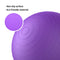 PROIRON Exercise Ball Anti-Burst Yoga Ball Chair with Quick Pump Slip Resistant Gym Ball Supports 500KG Balance Ball for Pilates Yoga Birthing Pregnancy Stability Gym Workout Training and Physical Therapy(55-75cm) (65cm purple)