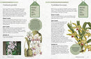 Kew Gardener's Guide to Growing Orchids: The Art and Science to Grow Your Own Orchids: Volume 6