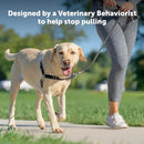 PetSafe Easy Walk No-Pull Dog Harness - The Ultimate Harness to Help Stop Pulling - Take Control & Teach Better Leash Manners - Helps Prevent Pets Pulling on Walks - Medium, Raspberry/Gray