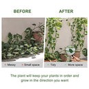 Mornajina 120PCS Plant Climbing Wall Fixture Clips Set, Including 60PCS Self-Adhesive Leaves Plant Clips for Climbing Plants, 60PCS Invisible Plant Vine Wall Clips for Indoor Outdoor Decoration