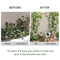 Mornajina 120PCS Plant Climbing Wall Fixture Clips Set, Including 60PCS Self-Adhesive Leaves Plant Clips for Climbing Plants, 60PCS Invisible Plant Vine Wall Clips for Indoor Outdoor Decoration