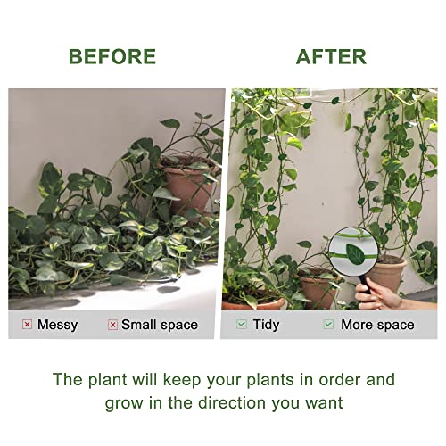 Mornajina 120PCS Plant Climbing Wall Fixture Clips Set, Including 60PCS Self-Adhesive Leaves Plant Clips for Climbing Plants, 60PCS Invisible Plant Vine Wall Clips for Indoor Outdoor Decoration