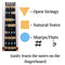 Fantastic Finger Guide for Violins Kids/Adult Beginner | Stringed Musical Instruments | Fingerboard and Fretboard Stickers for Learning All Notes | Play or Fiddle, 4/4-Size