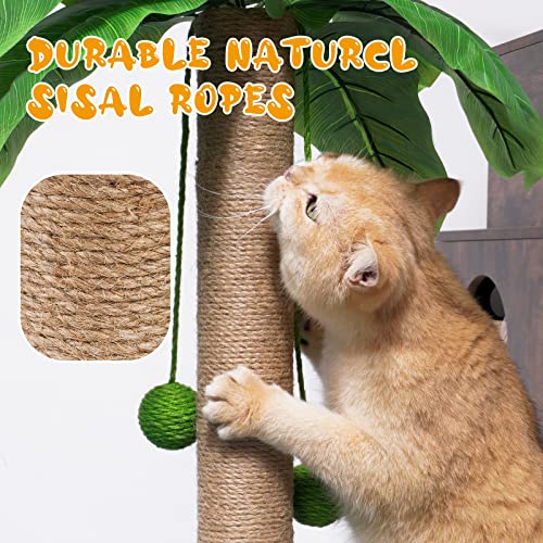 ZooZoo Cat Scratching Post, Cat Coconut Palm Tree for Indoor Cats with Natural Sisal Scratch Pole Hanging Sisal Ropes and Balls, Cute 33" Tall Cat Scratcher for Large Cat and Kittens