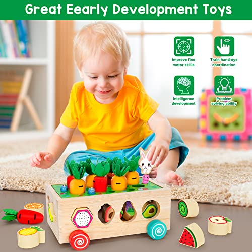 BAYSING Montessori Toys for 2,3,4 Year Old Baby Boys and Girls, Carrots Harvest Game, Wooden Shape Sorting Toys for Toddlers, Kids Age 1-3, Wood Preschool Learning Fine Motor Skills Game