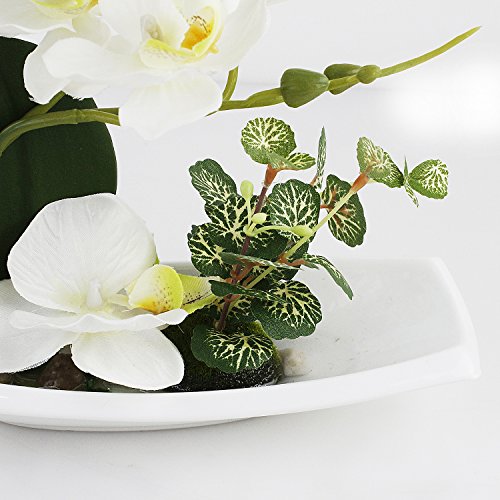 (Milk White) - Dynabit Artificial Orchid Flower Arrangements with White Porcelain Vase, Artificial Bonsai Centrepiece Decoration, Plastic Flowers, Realistic & Lifelike (Milk White)