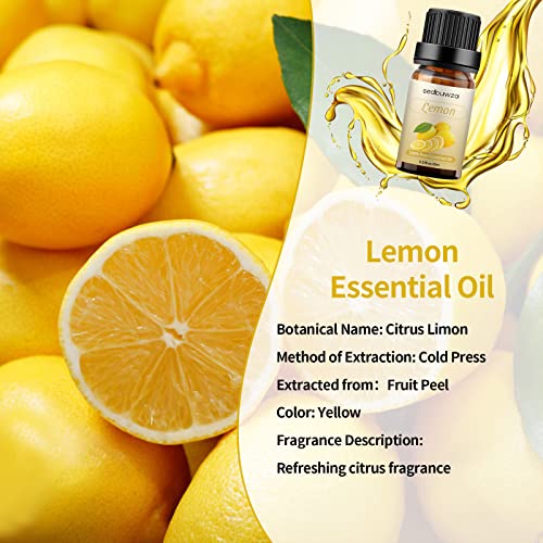 Lemon Essential Oils 10ML100% Pure & Natural Organic Lemon Essential Oil for Aromatherapy Diffuser, Massage, Bath, Hair Care, Skin Care - Lemon Aromatherapy Oi