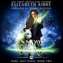 Snow Bound: More Than Magic, Book 2