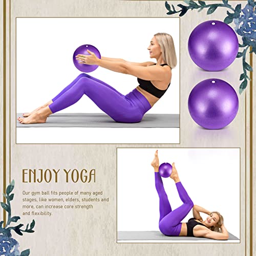 Hungdao 6 Pcs Mini Yoga Ball 9 Inch Exercise Ball for Yoga Studio Pilates Ball Small Core Ball for Physical Therapy Stability Barre Bender Training Stretching Balance (Purple)