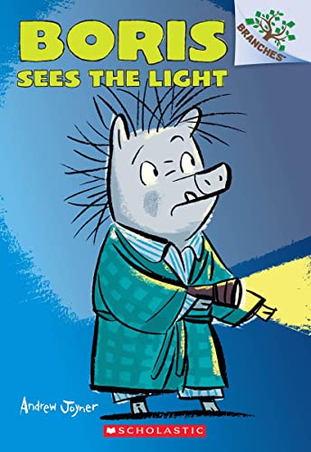 Boris Sees the Light: A Branches Book (Boris