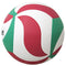 V5M5000 Premium Competition Volleyball