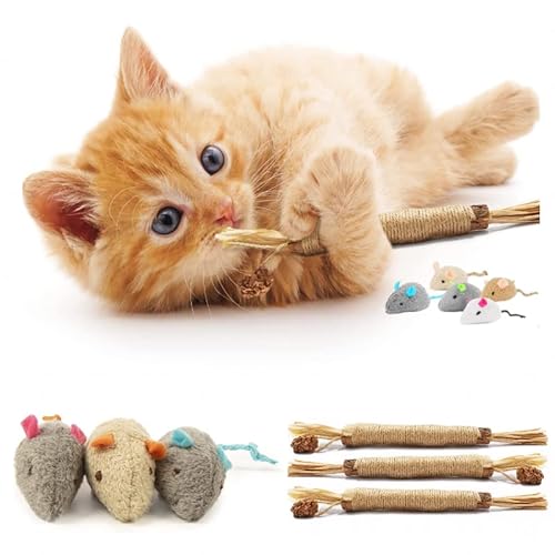 QUREZA Cat Toys, Silvervine Sticks for Cats, 3 Pack Natural Catnip Chew Toys for Kittens Teeth Cleaning, Matatabi Dental Care, Increase Appetite, Calm Cat Anxiety and Stress, Aggressive Chewers Cat Dental Toy