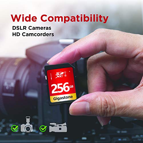 Gigastone 256GB SD Card UHS-I U1 Class 10 SDXC Memory Card High Speed Full HD Video Canon Nikon Sony Pentax Kodak Olympus Panasonic Digital Camera, with 1 Mini case