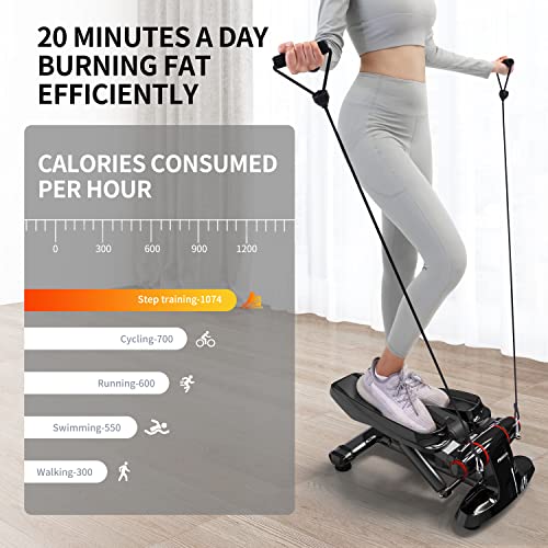 PROIRON Stepper for Exercise, Mini Stepper Machine with Display, Step Exercise Machine with Resistance Bands for Home Workout, Up Down Swing Twist Stepper for Leg Arm Full Body Trainer - Black