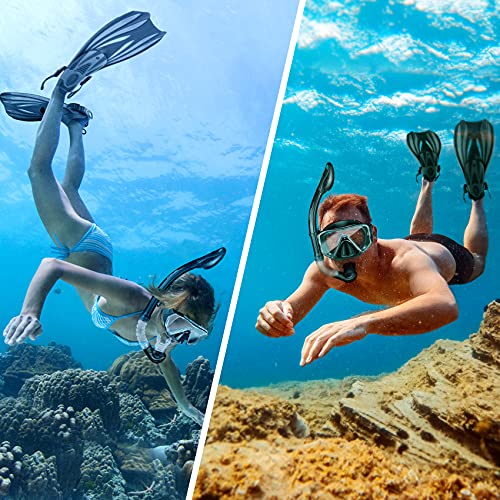 Zeeporte Dive Snorkeling Gear for Adults Kids - Mask Fins Snorkel Set with Panoramic View Snorkel Mask Anti-Fog Anti-Leak, Dry Top Snorkel, Dive Flippers and Gear Bag, Snorkeling Diving Safety Gear