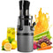 Masticating Juicer Machine for Whole Fruits and Vegetables, Cold Press Slow Juicer with Wide Mouth 80mm Feeding Chute, Reverse Function Quiet Motor Fresh Healthy Juice Extractor, EL18, Grey