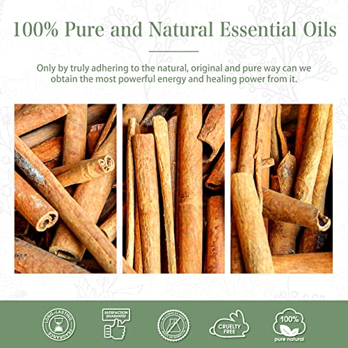 PHATOIL Cinnamon Essential Oil 30ML, Essential Oils for Diffuser, Humidifier, Aromatherapy, DIY Candle and Scented Products Making (Cinnamon, 30 ml)