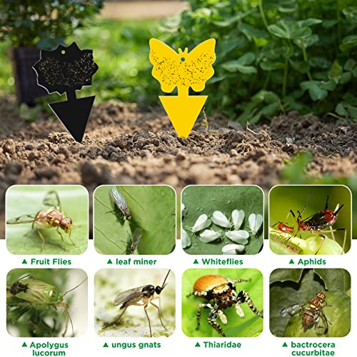 WD&CD 48 Pack Sticky Trap, Dual Sided Gnat Sticky Fly Traps Fruit Fly Trap with Punch Hole, Disposable Insect Catcher Sticky Board for Mosquitoes, Houseplant, Garden