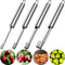 Mudder 4 Pieces Corer and Pitter Multi-Function Fruit Corer and Pitter Remover Set Stainless Steel Pear Corer Pitter 4 Sizes for Home Kitchen, Pear, Cherry, Jujube and Red Date