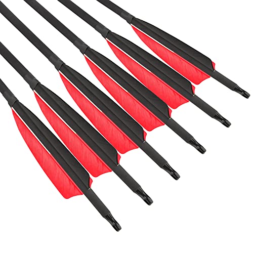 ZSHJGJR 31 Inch Archery Carbon Arrows Spine 500 Hunting Arrows with Removable Tips 4" Natural Feather Fletching Targeting Arrows for Compound & Recurve & Traditional Bow 6/12pcs (12pcs)