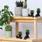 Fake Succulent, 2PCS Mini Succulents Plants Artificial in Black Modern Human Shaped Ceramic Pots Cute Desk Decor Desk Plant for Office Decor for Women, Cute Fake Plants Bathroom Decor (Black)