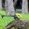 OMPHOBBY M2 EVO RC Helicopter for Adults Dual Brushless Motors Direct Drive 6CH RC Helicopter Remote Controlled Outdoor 3D Remote Control Aeroplane Upgraded Mini Drone BNF (Orange)