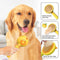 Cat Brush for Shedding Slicker Brush for Indoor Cats,Cat Grooming Brush for Long or Short Haired Dogs,Dog Shedding Brush Cat Comb for Removing Tangled and Loose Hair,Pet Massage Self Cleaning Cat Brushes