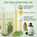 EVOKE OCCU Tea Tree Essential Oil 4 Oz, Pure Tea Tree Oil for Diffuser Skin Hair Body Nail Care- 4 FL Oz